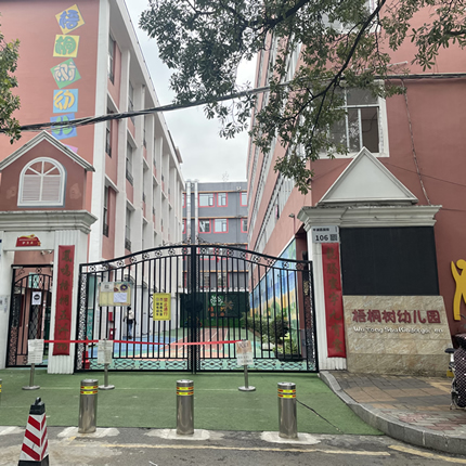 深圳市龙岗区平湖街道梧桐树幼儿园
